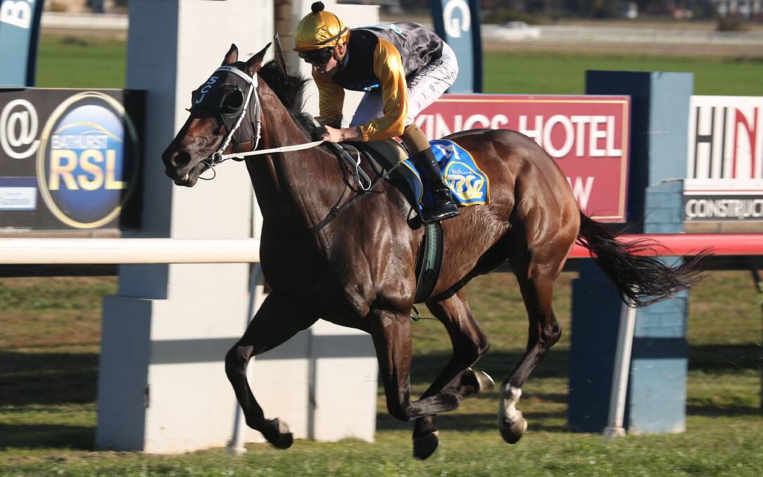 BIG MISSION: Hit The Target, trained by the Scone-based Stephen Jones stable, is the topweight in Sunday's Parkes Services Club Parkes Cup. Photo: Phil Blatch.