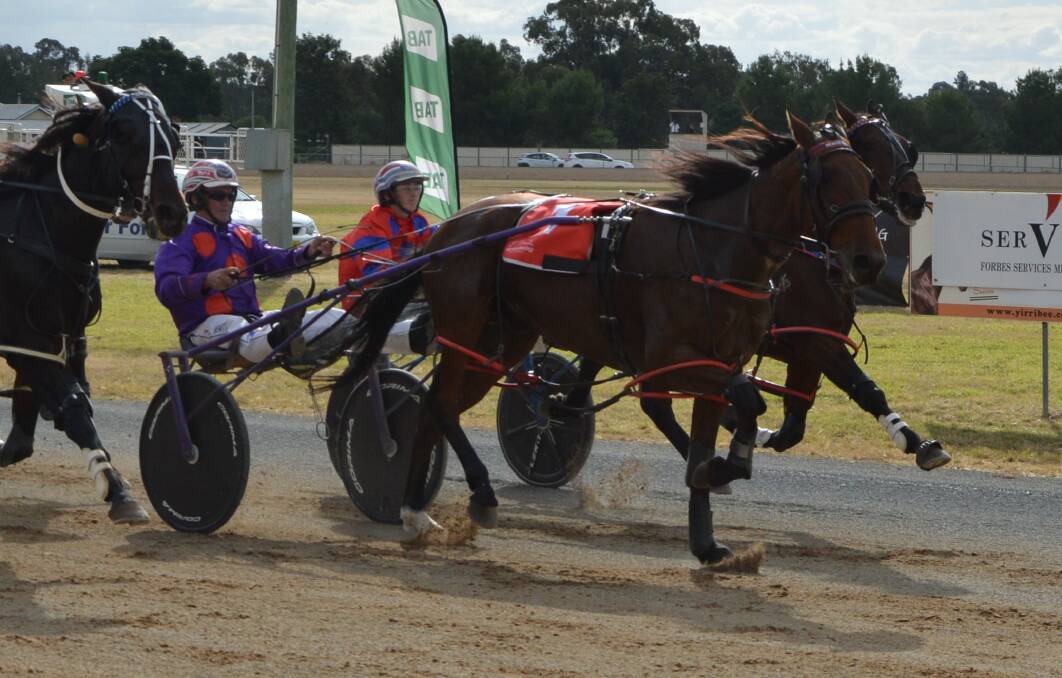 Theagenes overtakes the favourite, Smooth Bon Bon, right in the nick of time in the David Mason Appreciation Pace.