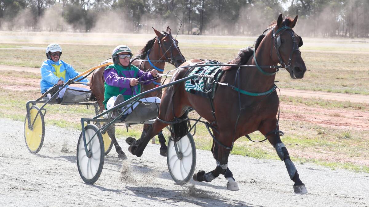 ON A ROLL: Major Roll (pictured winning the Coolamon Cup on March 1) added yet another feature win with victory in the West Wyalong Cup. Kanena Provlima and Firestorm Red filled the minor placings. Picture: Les Smith