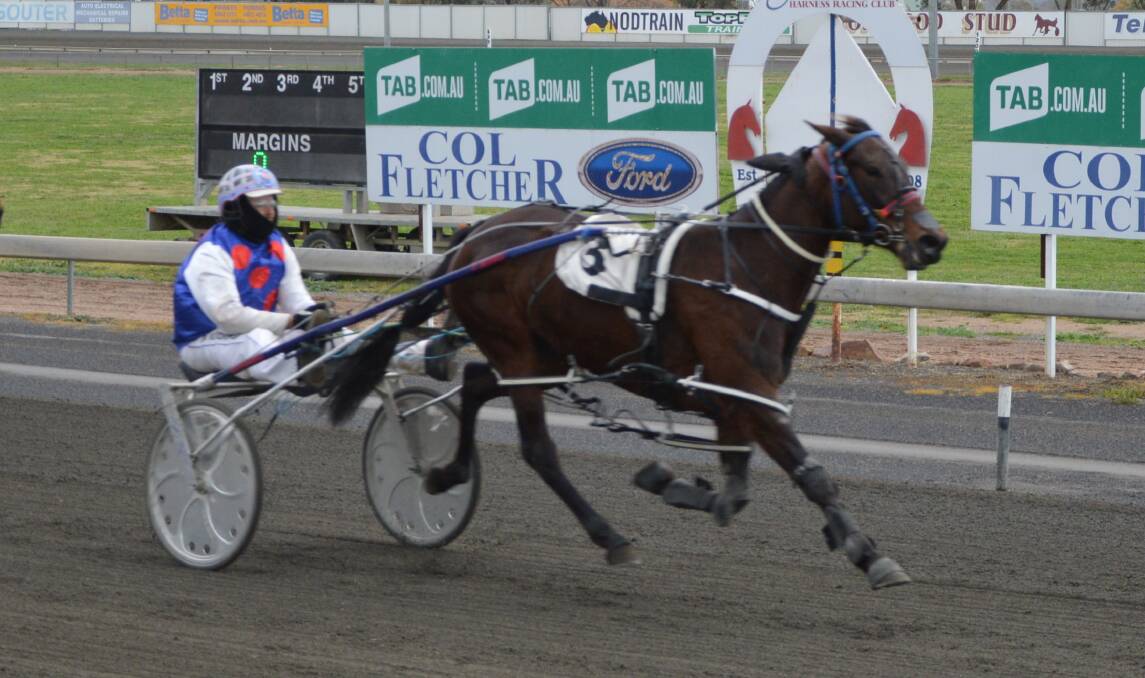 TRIO OF HUTCHINGS: Shez On Target will be running in the Join the NSWSOA Pace along with three other Hutchings runners. The mare has won twice in 31 career starts for Brett Hutchings. Photo: Kristy Williams.