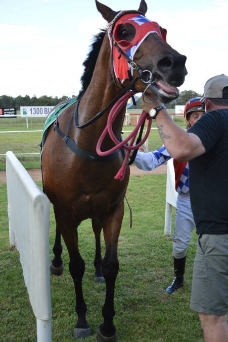 WINNERS ARE GRINNERS: Coulpa was very happy with his work after winning in the last. Photo: Kristy Williams
