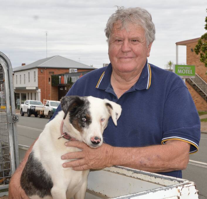 Parkes Shire Council election candidate John Coulston with his dog Benny.