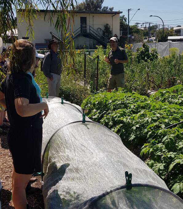 One of the conference's highlights was a trip to one of the CBD's mini farms.