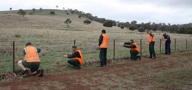 Correctional centre inmates set about repairing fences north of Wellington.
