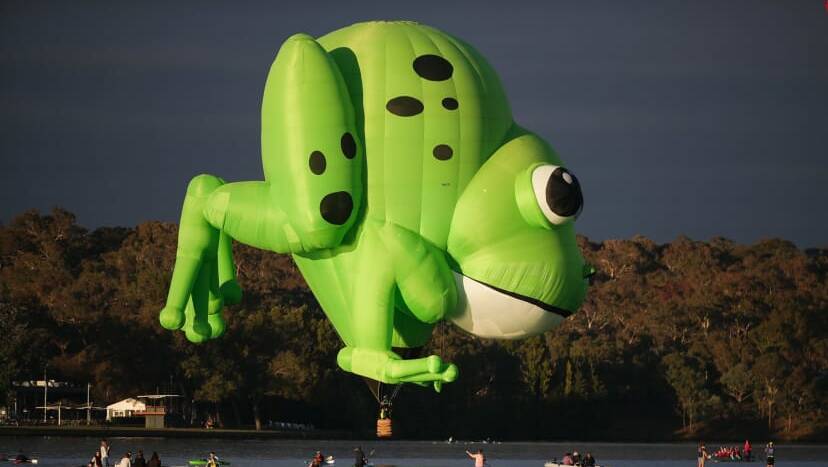Kermie the frog will make his Canowindra debut this year and will be one of the unique special shaped balloons on display.