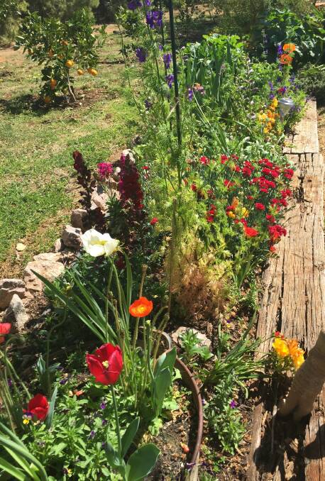 Labour of love: October 13 is the perfect chance to view some of Parkes' wonderful gardens and chat to the amazing locals who have created them. Photos: Supplied.