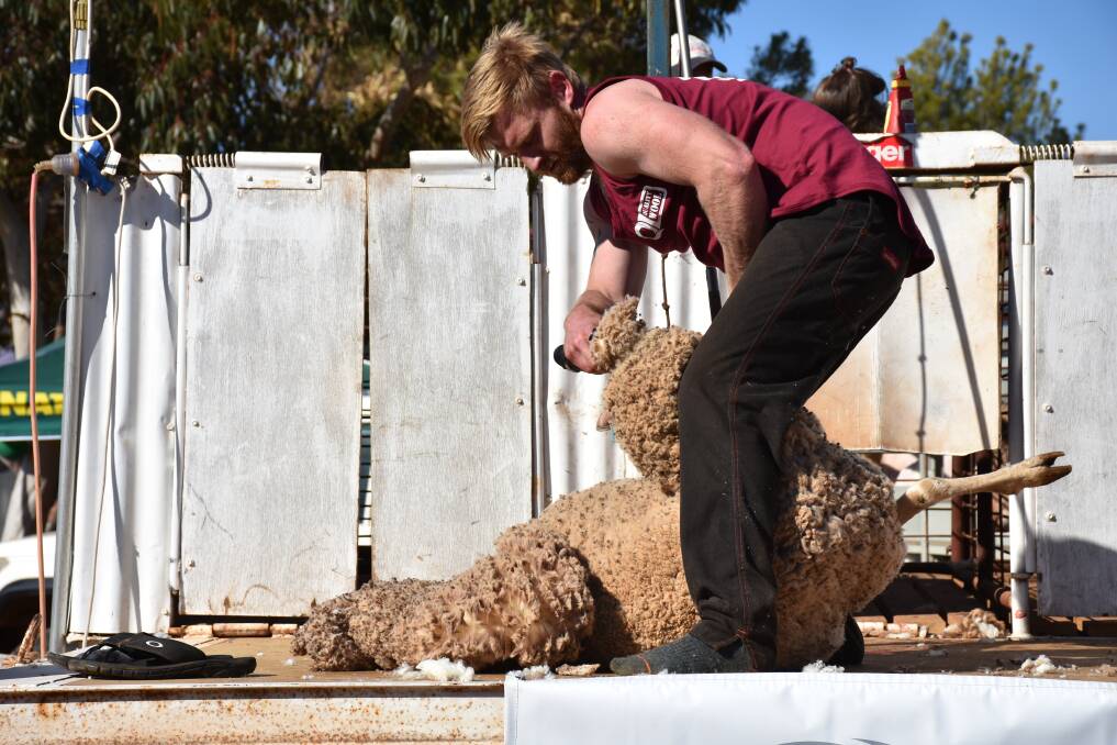 Test of skill: John Conroy makes his mark in the speed shearing competition. Photo: File.