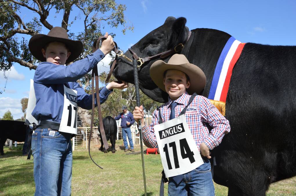 Champions: Jack and Tom Whitty with their Champion Senior Bull at the 2017 Trundle Show. Photo:Supplied.