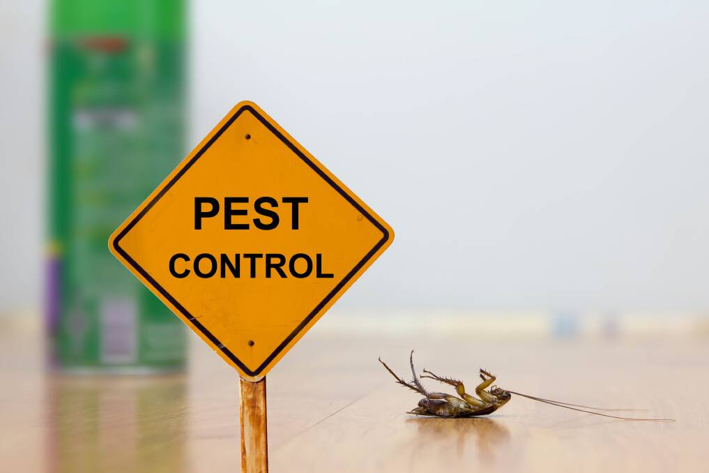 Winter issues: The arrival of colder weather can drive pests inside your home. Photo:Shutterstock.