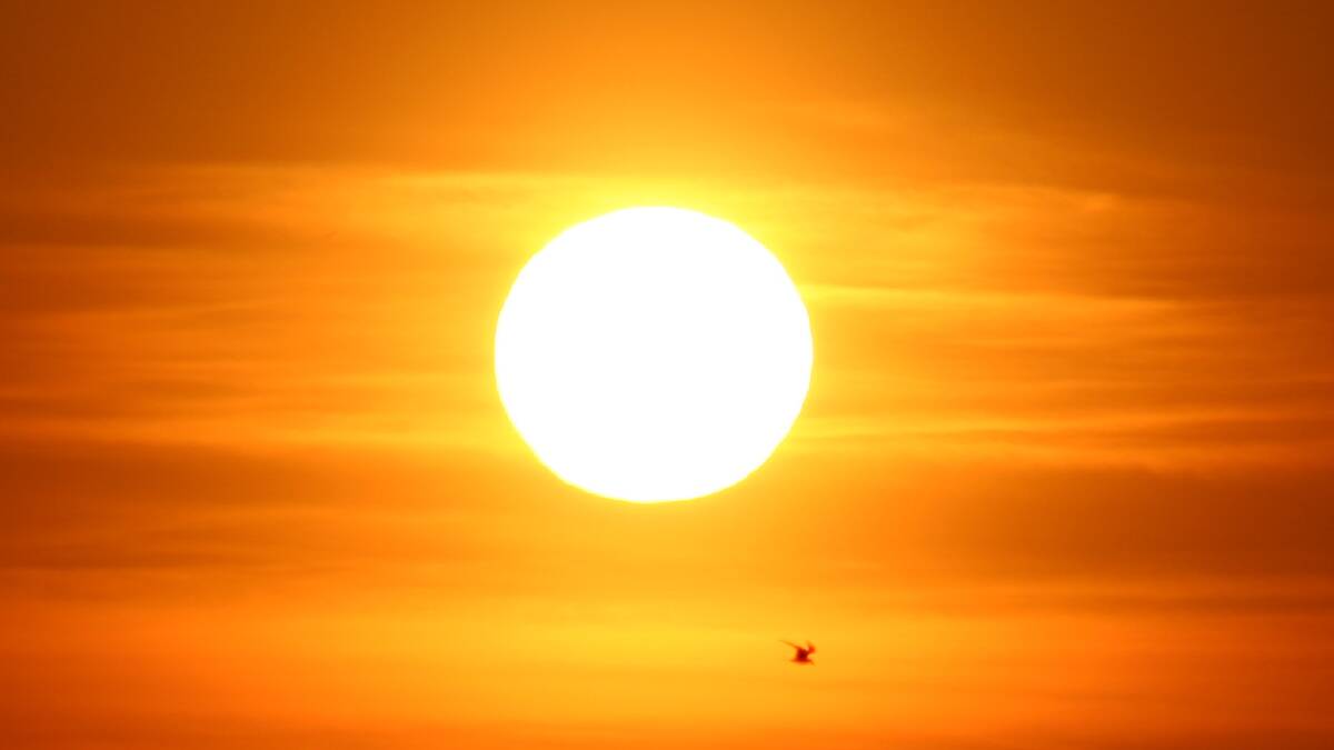 Parkes heats up: Health district urges residents to prepare for heat wave