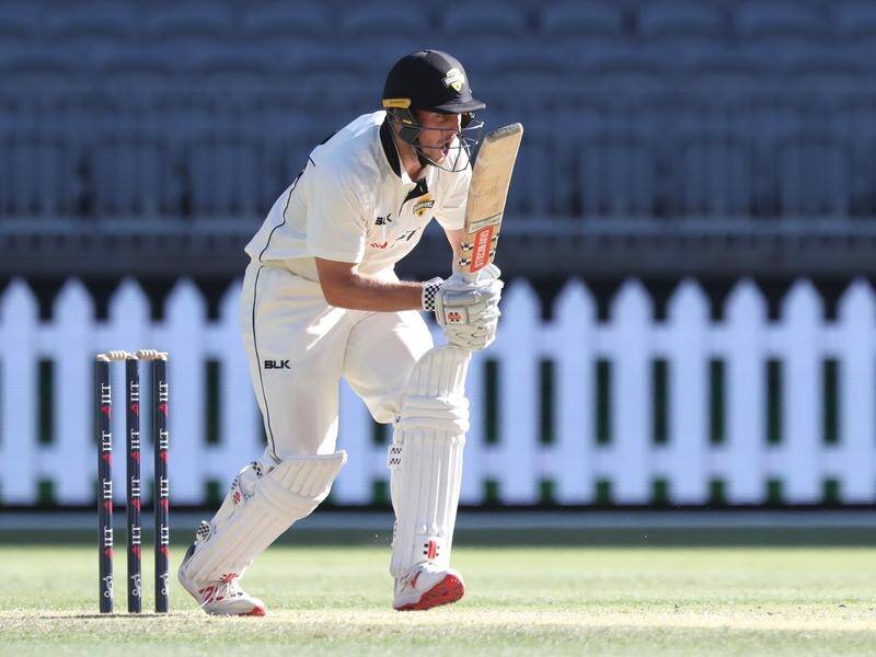 Mitch Marsh could do with a little more help from his friends, says WA coach Adam Voges.