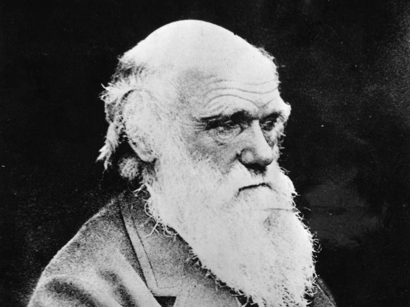 Cambridge university curators are 'heartbroken' that two notebooks of Charles Darwin are missing.