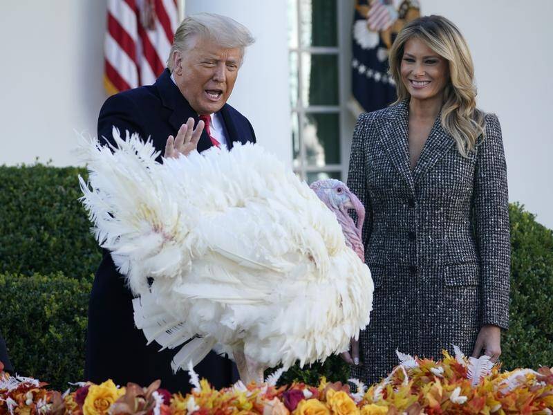 President Donald Trump pardoned Corn the turkey in the White House Rose Garden.