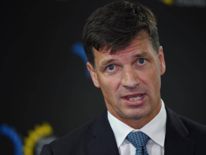 Energy Minister Angus Taylor wants Labor to support the government's emissions reduction target.