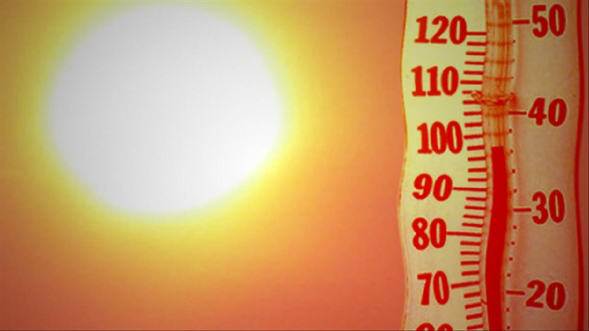 January heat breaks 20-year record