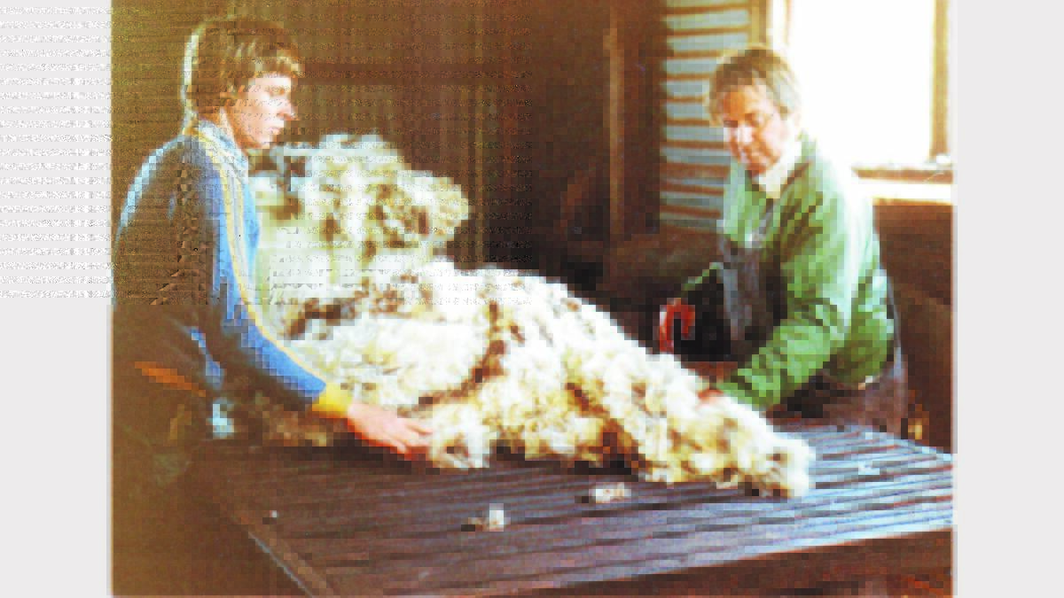 Cliff Westcott and nephew Ian in the wool shed.    Sub