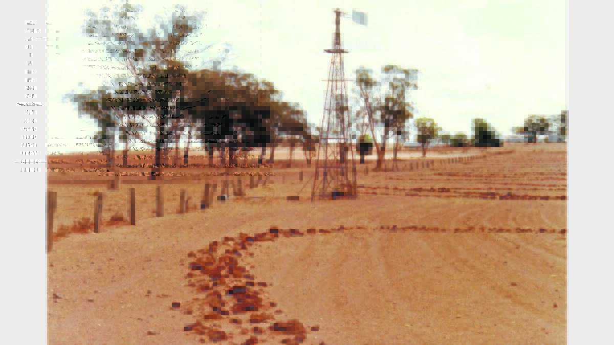 Through the hard times – this pic was taken during the drought of 1982 which had been preceded by a massive grasshopper plague in 1980.  The drought broke in may 1983.   sub