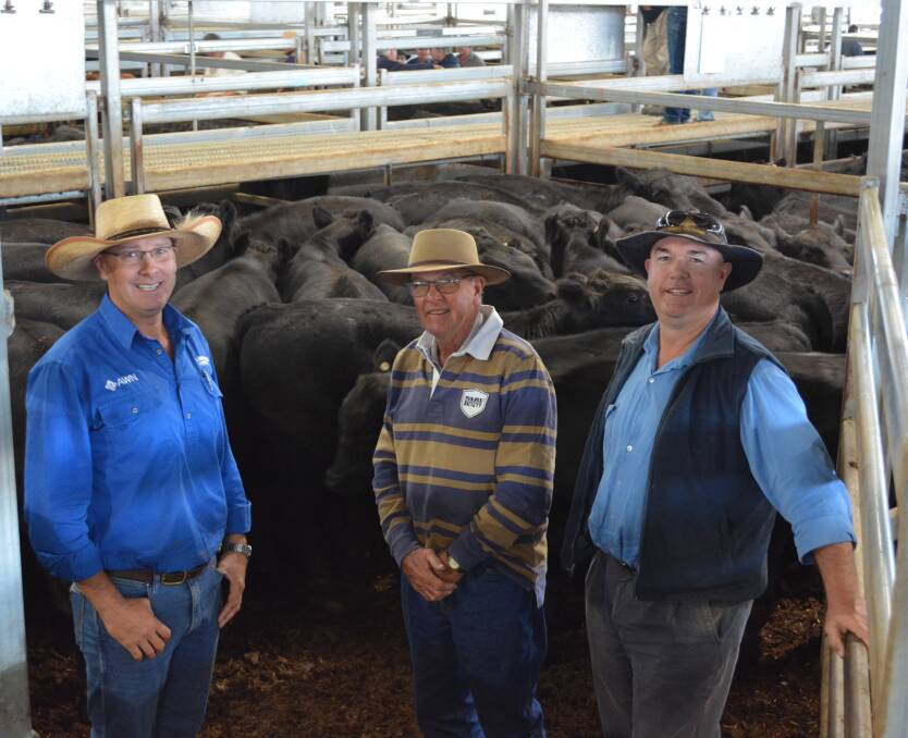 STRONG RESULTS: AWN Langlands Hanlon agent Geoff Rice, Parkes, with his father, Colin, and brother, Richard from J and H Rice and Co, Hillview, Cookamidgera, who sold 25 eight- to nine-month-old Angus weaner steers.