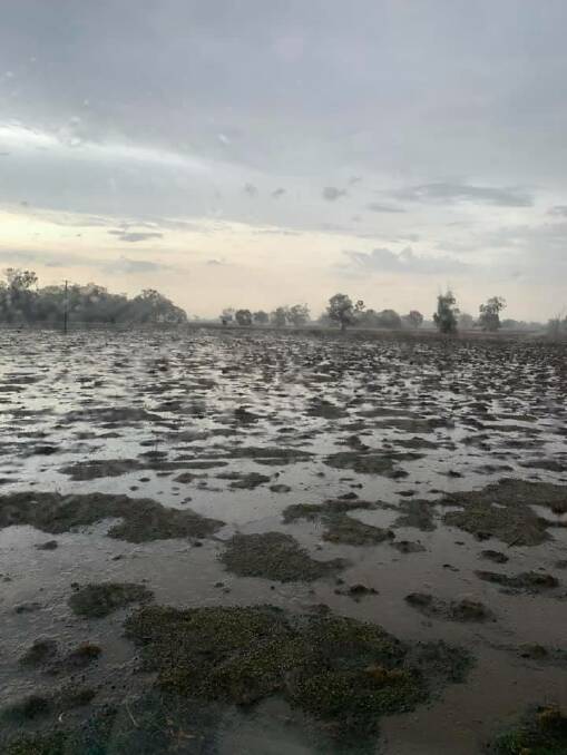 FIRE STARTER: The Bureau of Meteorology recorded 14mm of rain in Forbes during Thursday afternoon's storm. Photo: FORBES RFS