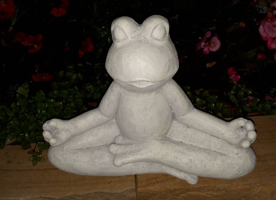 NOT WANTED: The thief replaced the stolen statues with plaster yoga frogs. Picture: Jill Bruce