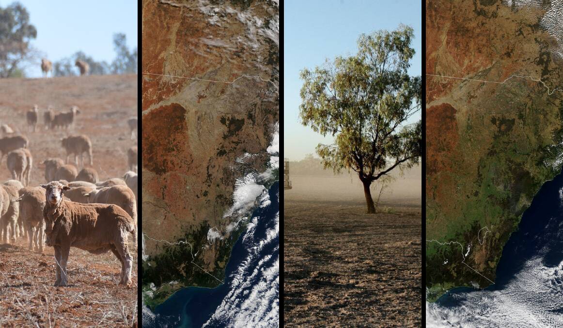 SHADES OF GREEN: Much of NSW might be turning to green, but the risk of drought is still there, the DPI says.
