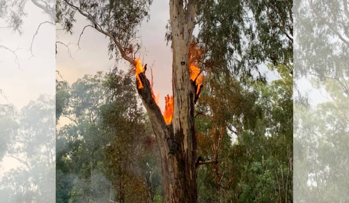FIRE STARTER: Lightning strikes during the storm on Thursday afternoon ignited this fire. Photo: FORBES RFS