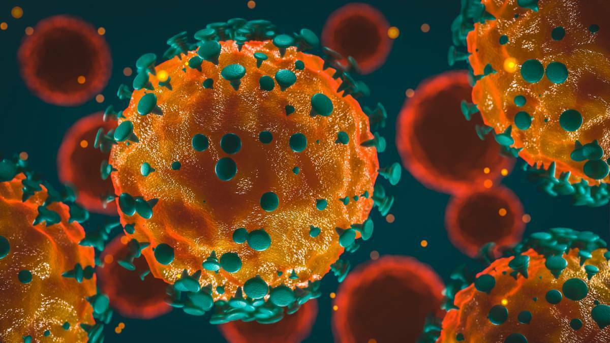 VIRUS CASES: There is only one person left receiving medial treatment for coronavirus in Western NSW. Photo: SHUTTERSTOCK