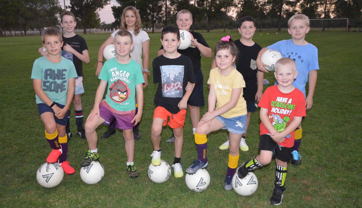 JOIN THE TEAM: Back, Ryan Went, Annabelle Nash, Riley Jones, Kane Dickerson and Peter McIntyre; front, Patrick Kyte, Cooper Jones, Axle and Ivy Dickerson, and Lucas Jones are all part of Parkes and District Soccer Association's junior development program. Photo: Christine Little