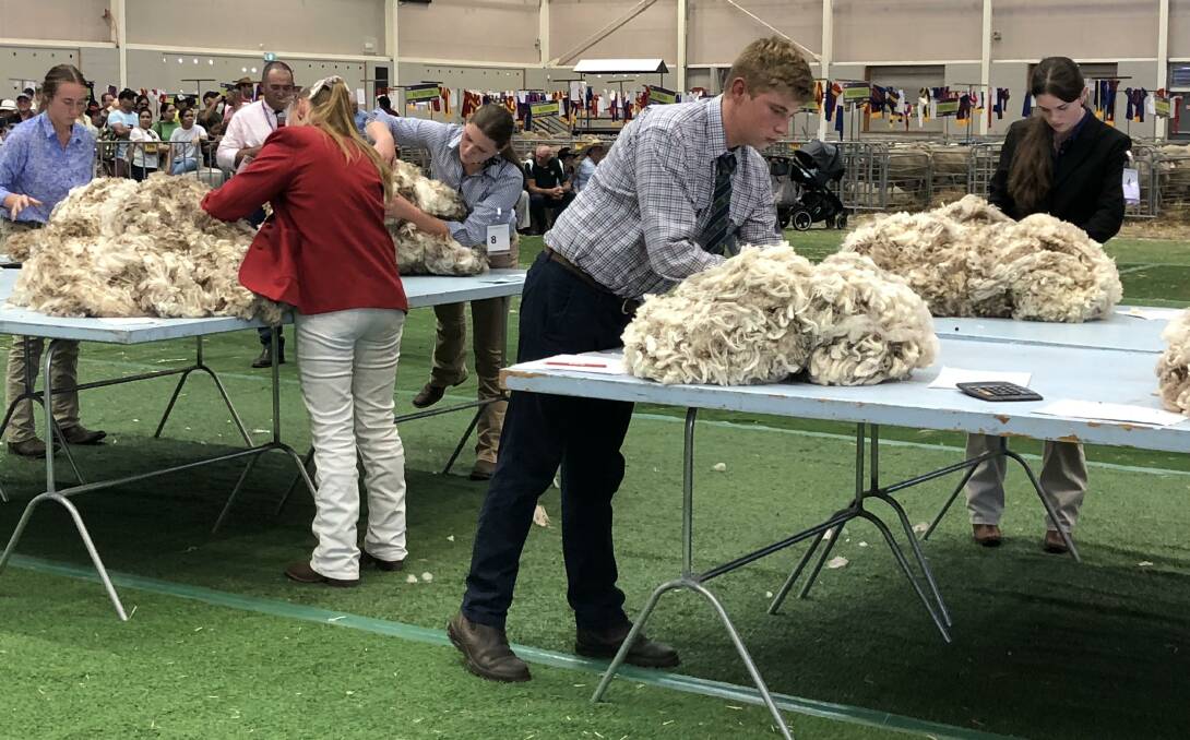 JUDGEING UNDERWAY: Nate Francis from Bindogundra, Parkes in action at the Sydney Royal Show's fleece judging. Photo: Submitted
