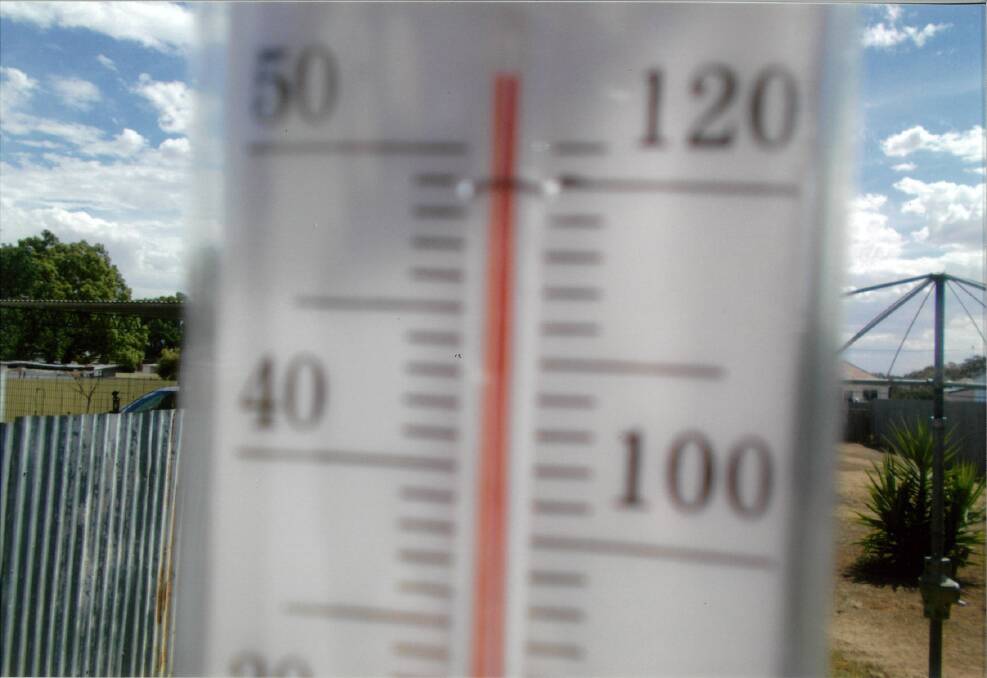 SWELTERING: It may have been 41 degrees at the Parkes Airport last Friday but it was 51 degrees in Margaret Allen's Bogan Street backyard.