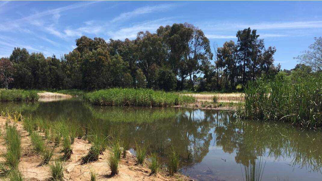 GRAND PLANS: Parkes Shire Council are turning the Sewage Treatment Ponds on Akuna Road into a wetland - something that would be a huge benefit for both flora and fauna.