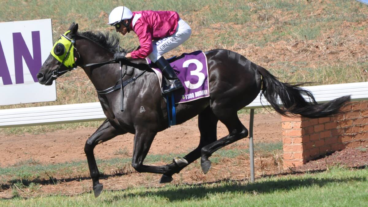 Eagles Dare, ridden by Greg Ryan and trained by Mark Jones of Dubbo, won Race 5 O'Brien Glass Parkes Class 2 HCP at Parkes on Saturday. Photo: Christine Speelman