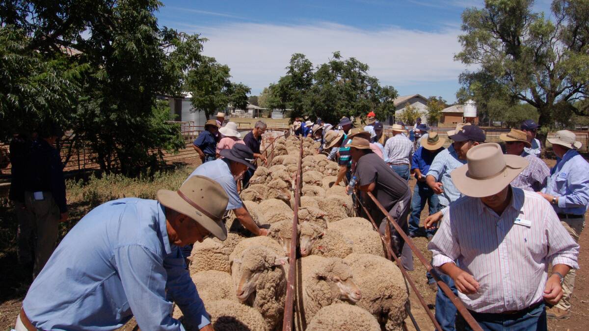 Parkes Show Society will host its annual Doug Bicket Memorial Ewe Competition next Friday, February 23. Everyone is welcome to go along and be a part of the day. 