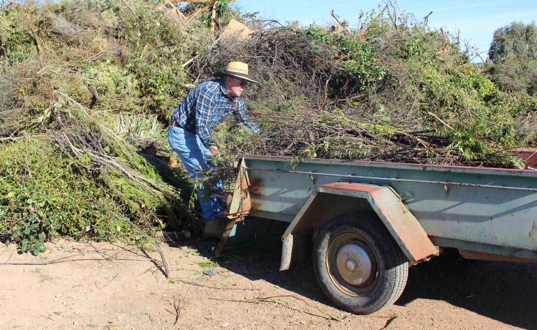 NO CHARGE: Parkes residents have until Sunday, January 12 at 4.15pm to dispose of any green waste from Monday evening's storm for free. Photo: Submitted