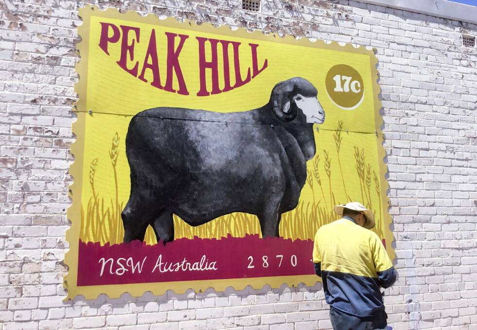HERITAGE: Parkes Shire Council staff installed a new public artwork in Mingelo Street, Peak Hill, designed to create an impact and showcase the town. Photo: Contributed